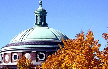 Autumn leaves frame the copper dome of a round, brick building