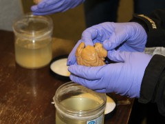 SHP104