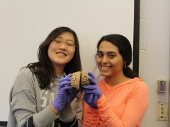 SHP135