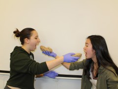 SHP141