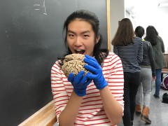 SHP68