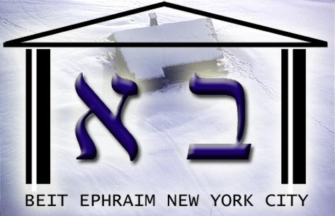 Bayit Winter Logo