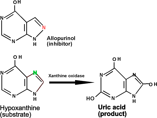 Uric Acid Formation