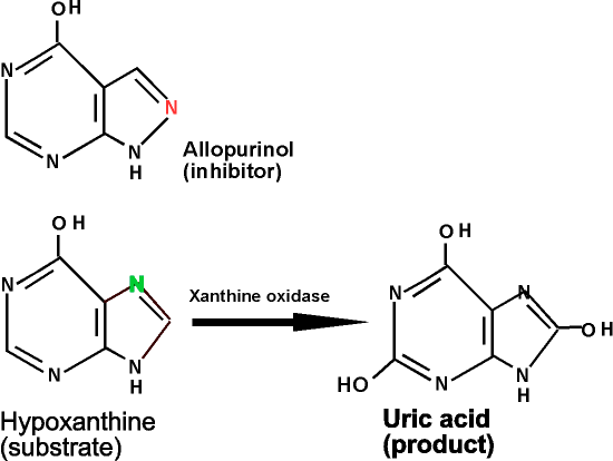 Uric Acid Formation Uric Acid Formation