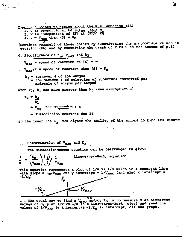 enz-kin3.GIF (11652 bytes)