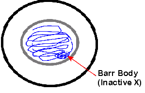 Lecture 20 Lecture 20
