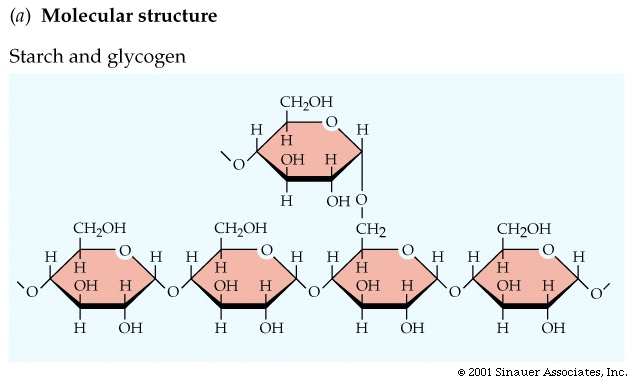 Polymers And Monomers