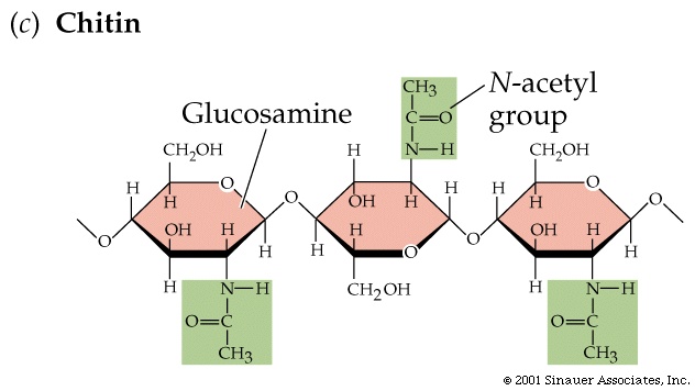 To go over the structure of polysaccharides try problem 1 11 If you