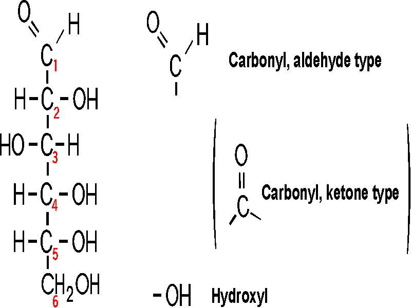 Intro Bio Lec. 2 Columbia University