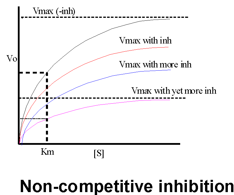 Intro Bio Lec. 6 Columbia University