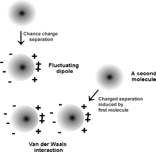 free nas colloquium carbon