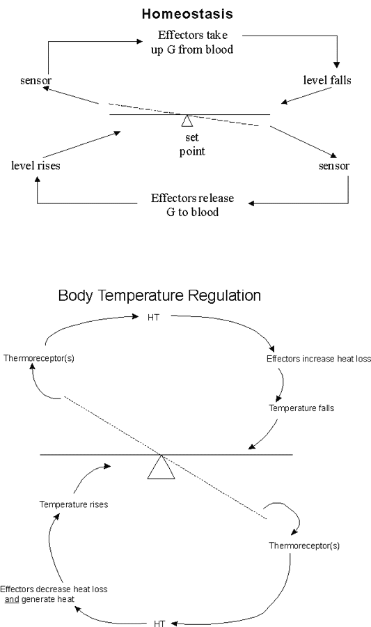 16 B -- Lactation & Stress 16 B -- Lactation & Stress