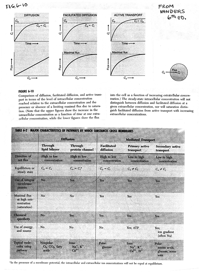 Active Vs Passive Transport Chart