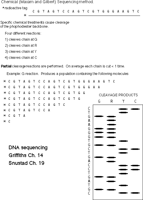 m gsequencing gif