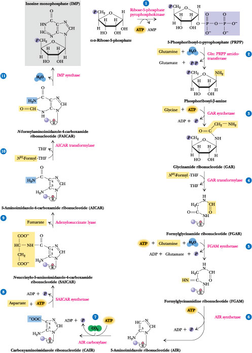 © Biochemistry