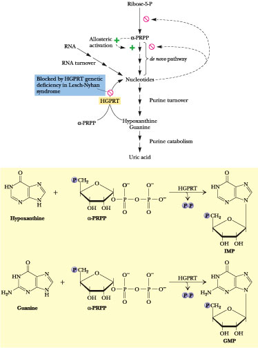 equibalancedistribution asymmetrische dichteverteilung alternative