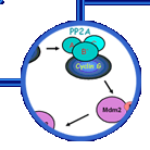 research highlight