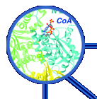 research highlight