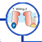 research highlight