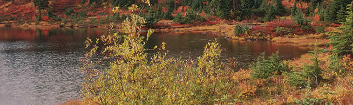 Image of subalpine lake at Mt. Baker, Washington