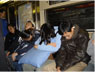 Sleeping on the train