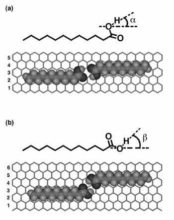 carbonyl_1.jpg
