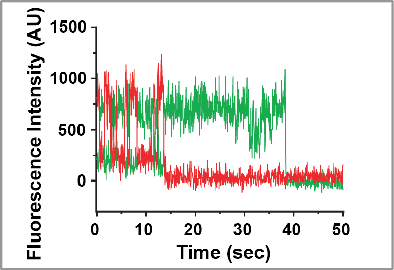 Some experimental data from our research.