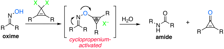 multicatalysis