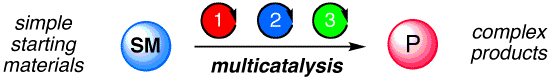multicatalysis