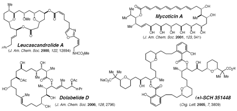 Polyketide macrolide natural products synthesized by the Leighton group.