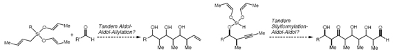 Two proposed
triple tandem reactions for the single step
assemblage of complex polyketide fragments.