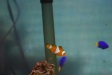 Nemo12
