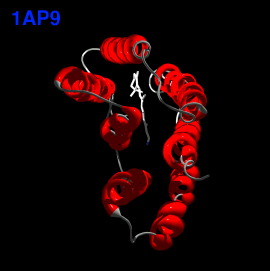 1AP9