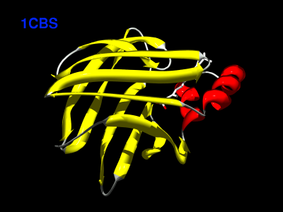 1CBS