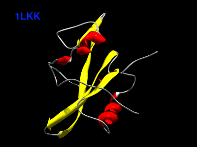 1LKK