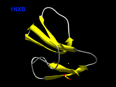 1NXB