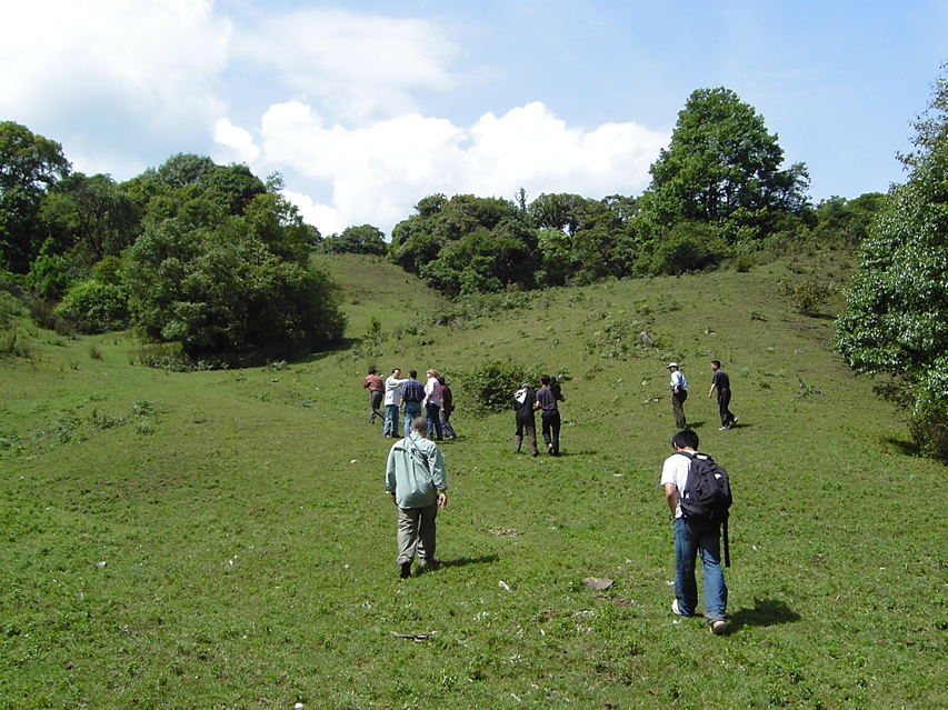 Hill meadow Nankang KIF_0502