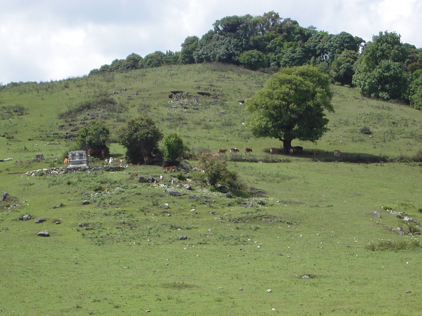 Hill meadow Nankang KIF_0504