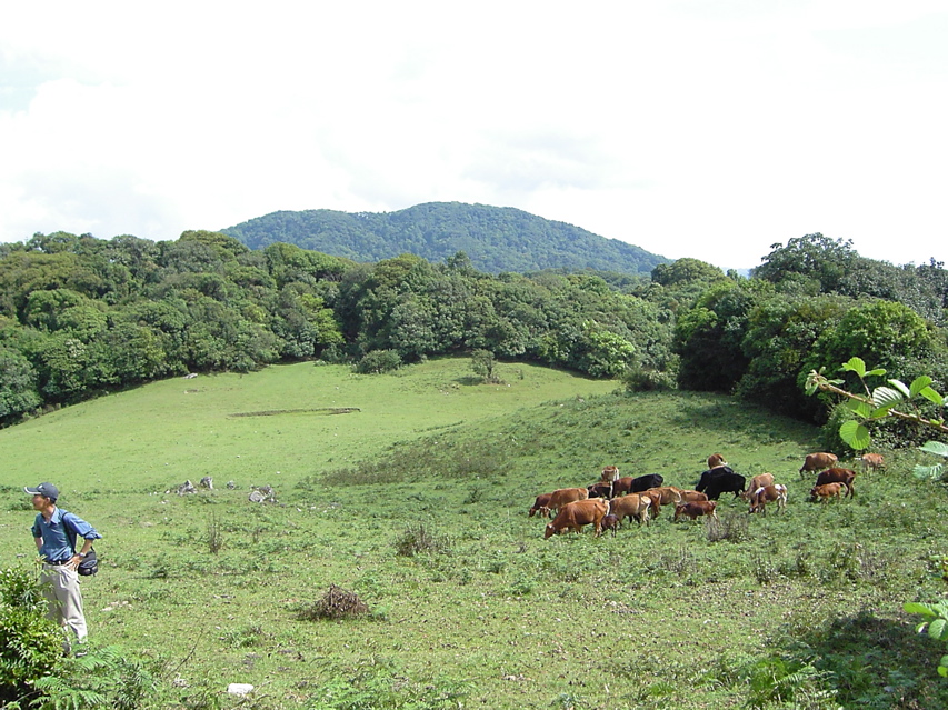 Hill meadow Nankang KIF_0514