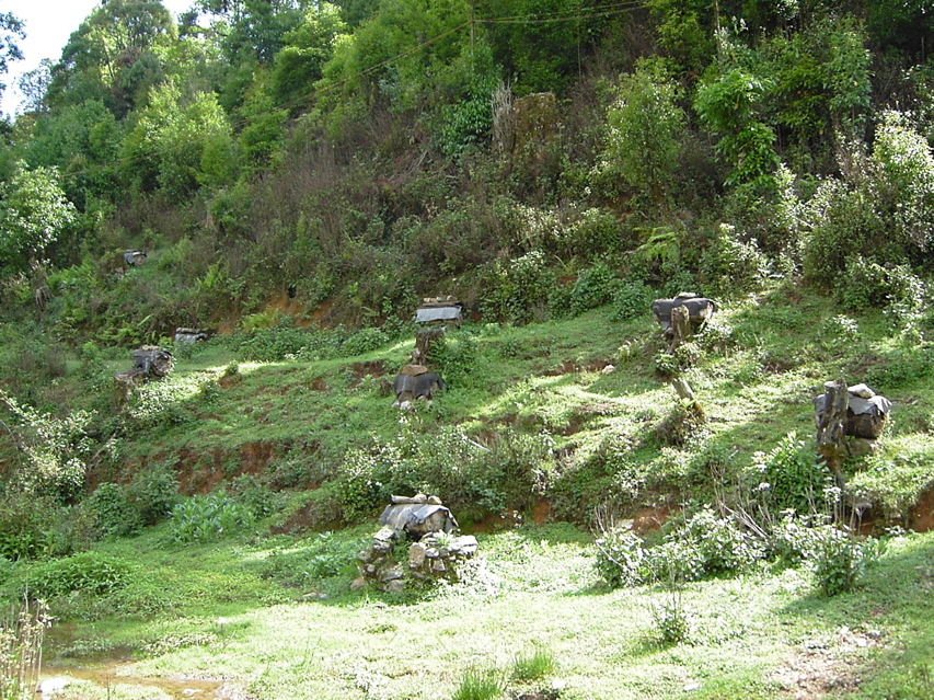 Hill meadow Nankang KIF_0517