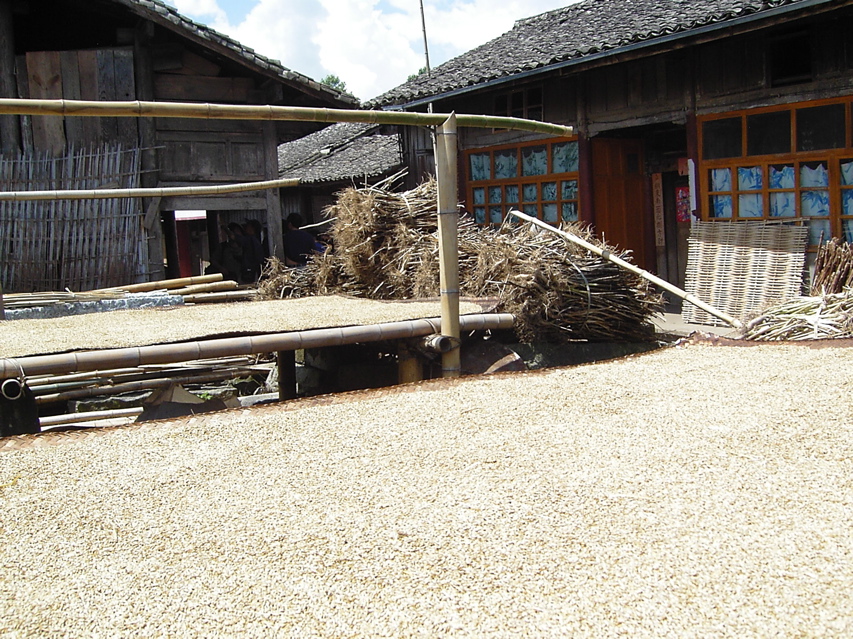 Grain drying, Jiang Zuo KIF_0578
