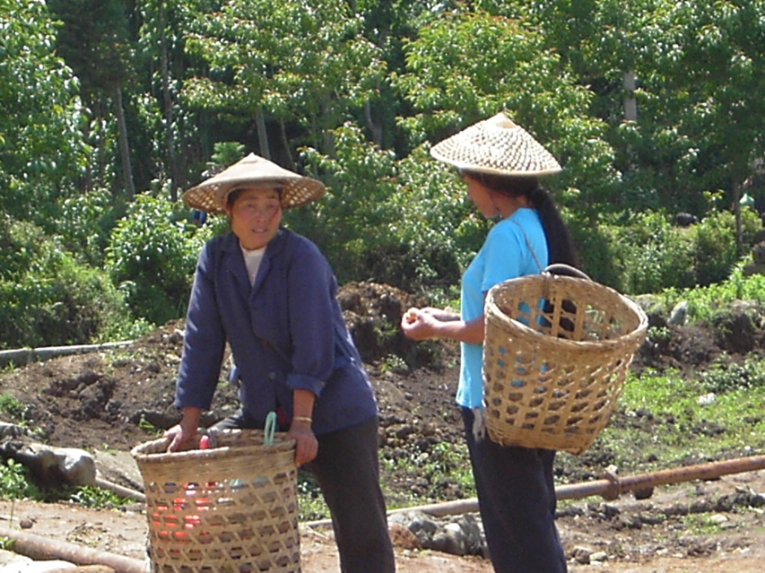 Women with baskets, Jiang Zuo KIF_0610