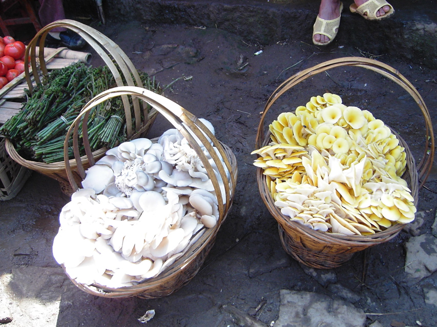 Musrooms, Market, Jiang Zuo KIF_0553