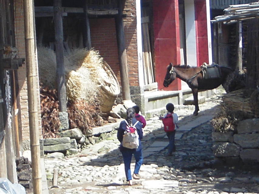 Street scene, Jiang Zuo KIF_0562