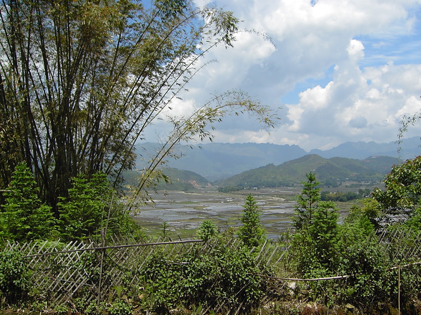 Agriculture view outside Jiang ZuoKIF_0603