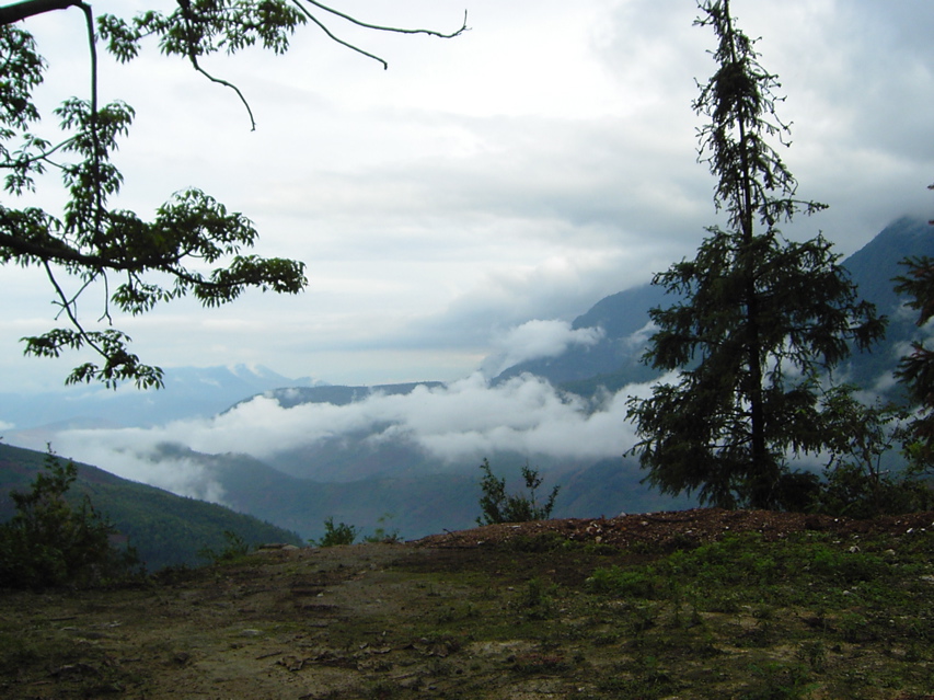 Gaoligongshan KIF_0337