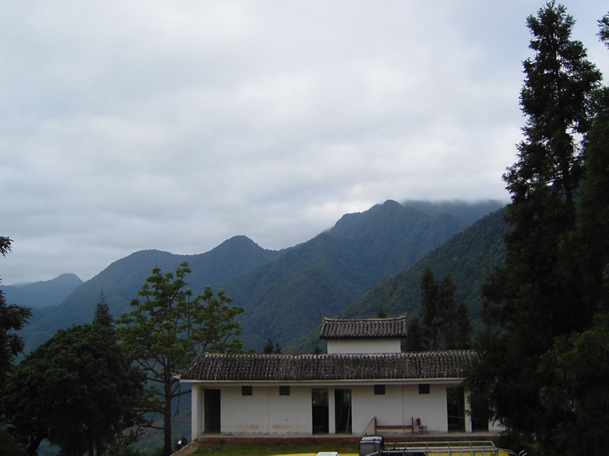 Gaoligonshan KIF_0341