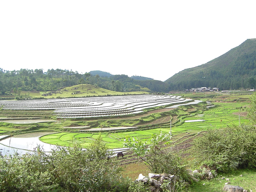 Agricultural view KIF_0684