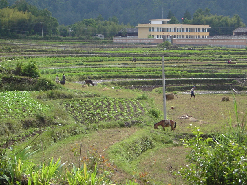 Agricultural view KIF_0686