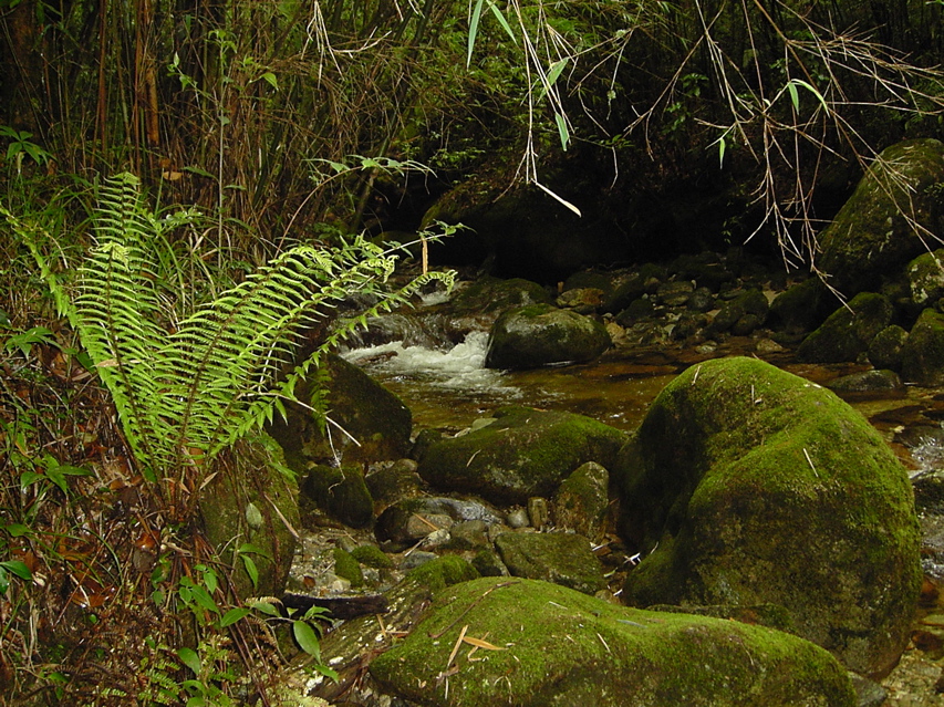 Gaoligongshan trail KIF_0395